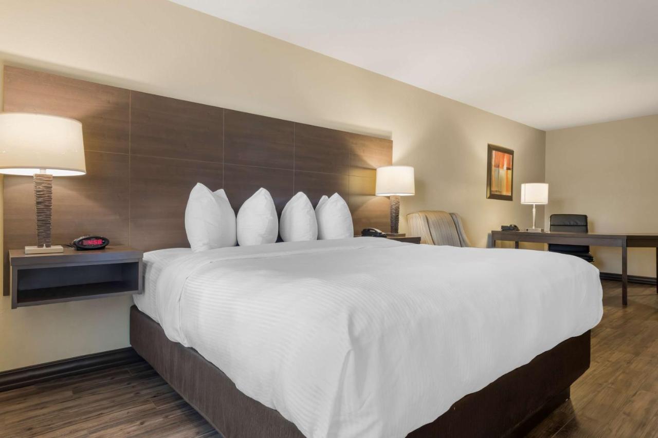 Best Western Plus Saint John Hotel & Suites Exteriér fotografie