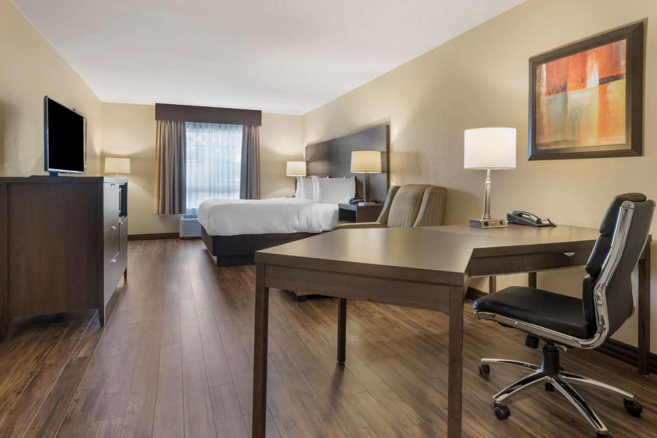 Best Western Plus Saint John Hotel & Suites Exteriér fotografie